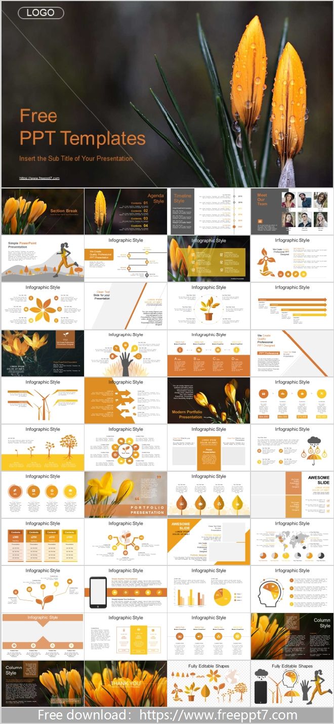 Beautiful Orchid Background PowerPoint Templates